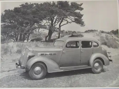 Packard One-Twenty Sedan 1939 Werksfoto (8219)