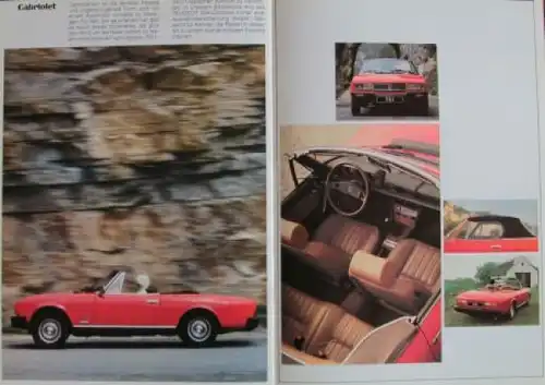 Peugeot 504 Coupe Cabriolet Modellprogramm 1980 Automobilprospekt (3732)