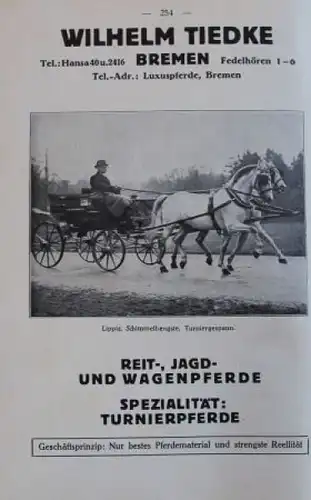 Achenbach "Anspannen und Fahren" Kutschen-Historie 1925 (4204)