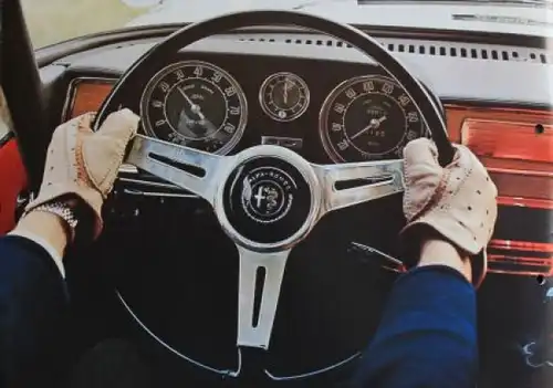 Alfa Romeo Giulia Super Modellprogramm 1965 "Was ein Lizenzfahrer zu berichten hat" Automobilprospekt (6193)