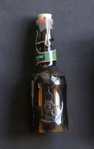 Altenmünster Bierflasche 1985 Kunststoff (2761)