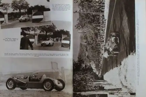 Pomeroy "The Motor Yearbook 1955" 1955 Motorsport-Historie (2824)