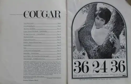 "Cougar" 1966 Amerikanisches Gesellschafts-Magazin (5613)