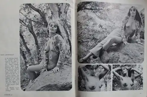 "Cougar" 1966 Amerikanisches Gesellschafts-Magazin (5613)