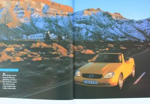 Vieweg "Alles über den Mercedes-Benz SLK" Mercedes-Benz Historie 1996 (3460)