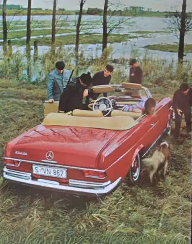 Mercedes-Benz 250 Coupe Cabrio Modellprogramm 1966 Automobilprospekt (0377)