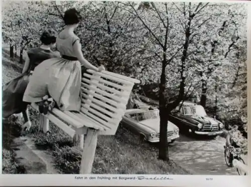 Borgward Isabella Cabriolet im Frühling 1856 Werksfoto (7823)