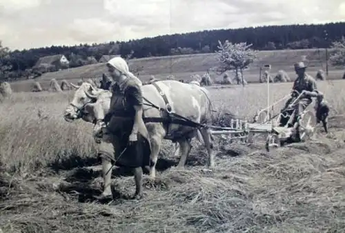 Metzler "Die große Bautz Chronik" Traktor-Historie 2004 (9472)