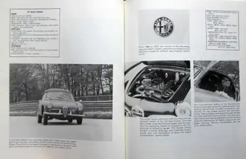 Benson "Illustrated Alfa Romeo Buyer's Guide" Alfa-Romeo Historie 1983 (7214)