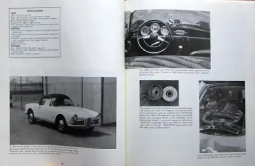 Benson "Illustrated Alfa Romeo Buyer's Guide" Alfa-Romeo Historie 1983 (7214)