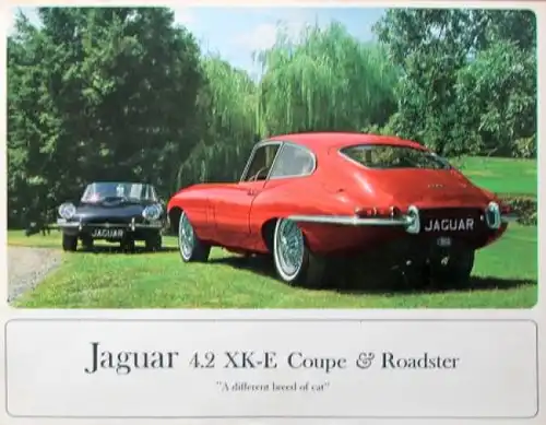 Jaguar E Coupe 4.2 XK Roadster Modellprogramm 1967 Automobilprospekt (6913)