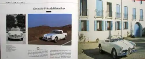 Jaguar Daimler Modellprogramm 1993 Automobilprospekt (2677)