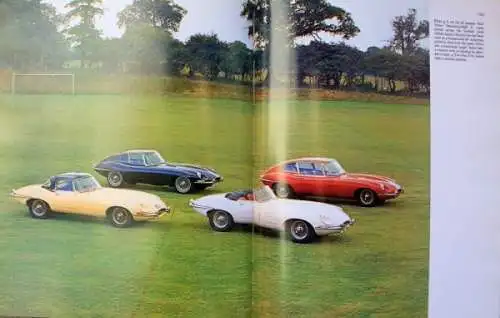 Harvey "E Type - End of an Era" Jaguar Historie 1977 (8993)