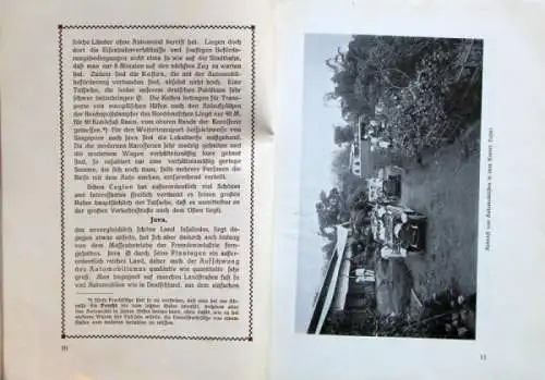 Heiland "Durch Java im Automobil" Reisebericht 1910 (8785)