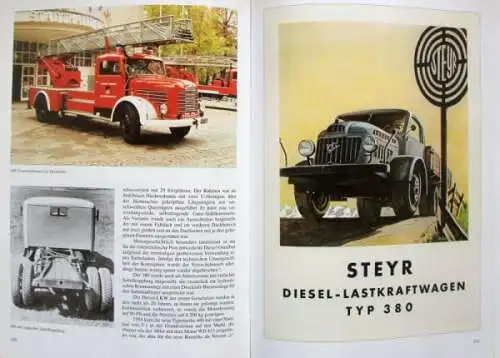 Rauscher "LKW aus Steyr" Lastwagen Historie 1999 (9721)