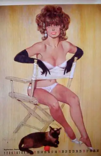 Brown & Bigelow Pin-Up "Hot Play" Jahreskalender 1971 Fritz Willis (4759)