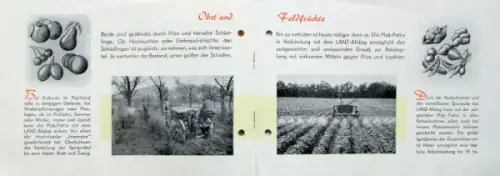 Lanz Alldog Platz Patria Modellprogramm 1953 Traktorprospekt (8002)