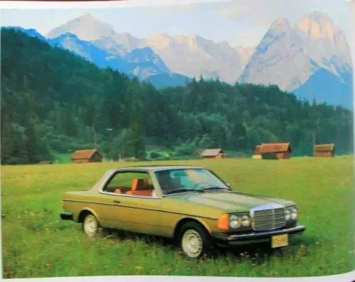 Mercedes-Benz America Modellprogramm 1977 Automobilprospekt (10658)