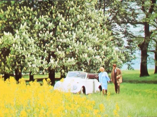 Volkswagen Käfer Cabriolet 1965 Werkspostkarte (10725)