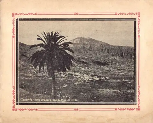 E 1694 Spanien Tenerifa Prospekt Cafe Taoro in Villa de la Orotava