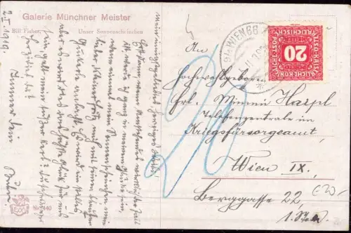 E 555 Österreich frankiert mit Nachporto Marke 1919