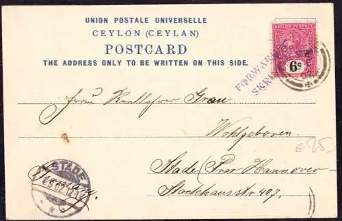 600131 | Ceylon 1902, Postkarte Forwardet bySkrinner & Co. | Colombo, Stade (W 2160)