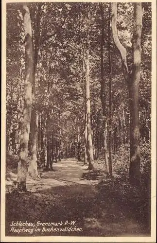 600565 | Ansichtskarte, Ortsansicht Człuchów, Westpreussen  | Schlochau (Kreis Schlochau Pommern), -,