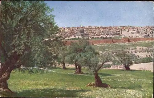 600715 | Israel, Holy Land, color photograph ca. 1920, by Hans Hildebrand, national Geographic, Judaica, Farbfoto  | -,