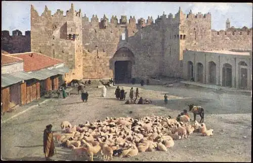 600718 | Israel, Holy Land, color photograph ca. 1920, by Hans Hildebrand, national Geographic, Judaica, Farbfoto  | -,