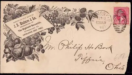 601236 | dekortiver Brief der Firma Muchmore & Son aus Fremont OhioSandusky County, USA, Obst, Landwirtschaft, Cond. 3