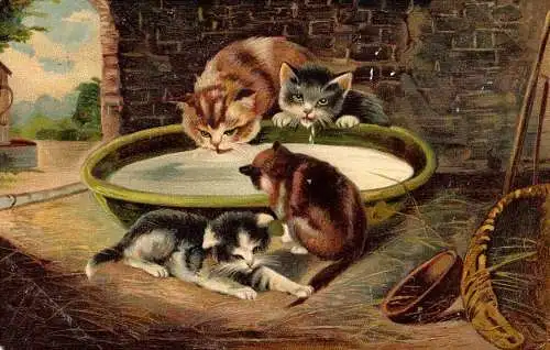 601321 | Werbung der Hoffmanns Stärkefabriken Ansichtskarte Katze, Haushalt, Chemie  | Bad Salzuflen (W - 4902), -,