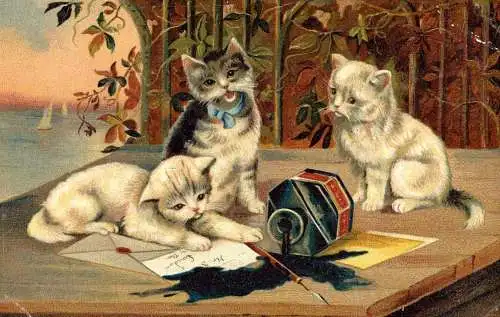 601323 | Werbung der Hoffmanns Stärkefabriken Ansichtskarte Katze, Haushalt, Chemie, Tinte, Büro  | Bad Salzuflen (W - 4