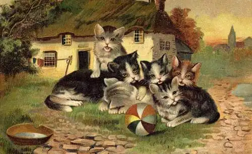 601324 | Werbung der Hoffmanns Stärkefabriken Ansichtskarte Katze, Haushalt, Chemie, Ball  | Bad Salzuflen (W - 4902),