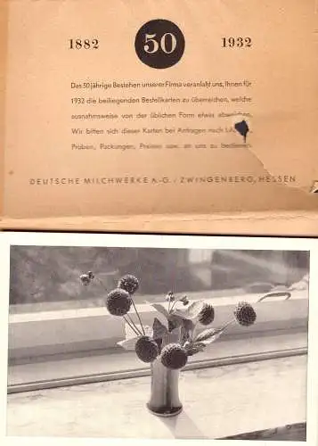 600612 | Pharmazie, Deutsche Milchwerke 10 Postkarten mit Fotos von Dr. A. Sauer, Umschlag beschädigt | Zwingenberg