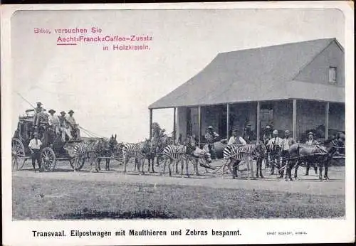600631 | Transvaal, Postkutsche mit Zebras, Buren, Werbekarte Aecht Fanck Caffee Zusatz, Kaffee  | -, -,