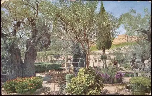 600712 | Israel, Holy Land, color photograph ca. 1920, by Hans Hildebrand, national Geographic, Judaica, Farbfoto  | -,
