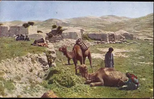 600723 | Israel, Holy Land, color photograph ca. 1920, by Hans Hildebrand, national Geographic, Judaica, Farbfoto  | -,