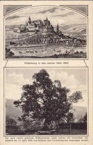 601467 | Ansichtskarte alter Baum, Merian  | Dillenburg (W - 6340), -,