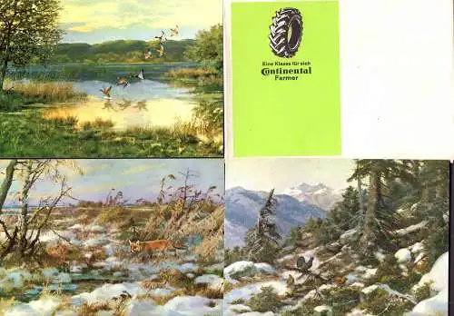601906 | Werbung, komplette Serie von 7 Karten Continental, Reifen, Landwirtschaft, Traktor, Tiere, Jagd | Hannover (W 3