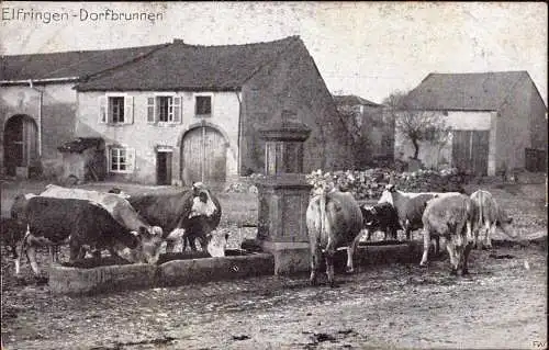 602647 | Frankreich,CPA,  Ortsansicht,  | Avricourt;Meurthe-et-Moselle (F 54450 Frankreich), -,