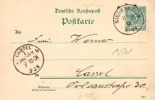 604224 | Sauberer Abschlag des Poststempels auf Ganzsache,  | Niedenstein (W - 3501), -,