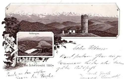 604403 | Litho Ortsansicht Vorläufer 1895, Feldberg, Erh. 3-4, R.S. beklebt | Feldberg (W 7828)
