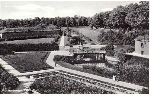 [Ansichtskarte] O 501 Königsberg in Ostpreußen, Sammlung von 7 Karten. 