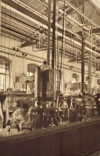 [Echtfotokarte schwarz/weiß] O 525, Leverkusen, Farbenfabriken Bayer, Chemie, Industrie, Laboratorium, Foto Willi Roerts. 