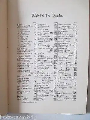 Max Dalitzsch Pflanzenbuch kleine Bibliothek J.F.Schreiber Nr.8  um 1900 selten!
