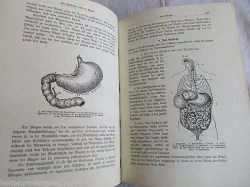 Der praktische Hausarzt Ratgeber für Jung und Alt  Dr. Müller 1901