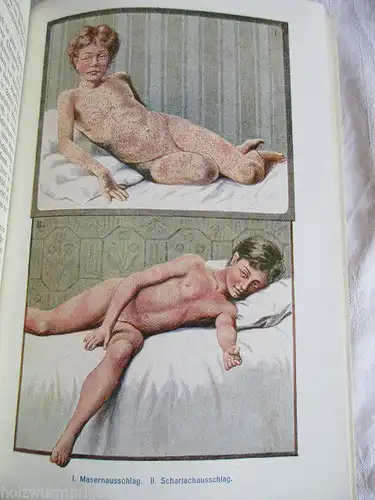 Der praktische Hausarzt Ratgeber für Jung und Alt  Dr. Müller 1901