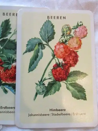 Quartett BEEREN UND FRÜCHTE Helingscher Verlag M. Neugebauer 1959