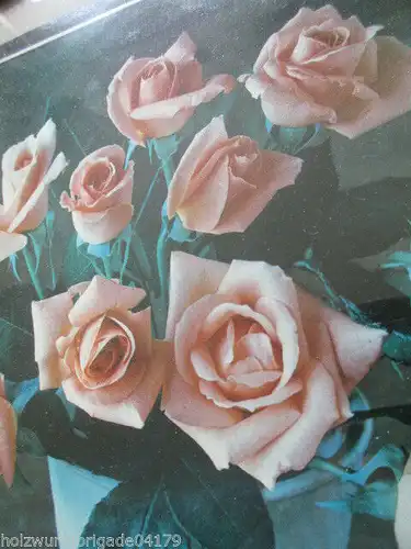 alter Jugendstil Holz Gips Bilderrahmen mit Glas Druck Blumen