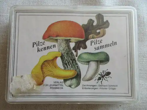 Pilze kennen- Pilze sammeln Kinder Kartenspiel Lehrquartett unbespielt komplett